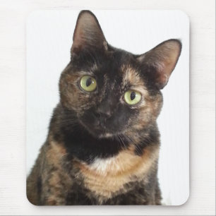 Tortoiseshel Cat Muismat