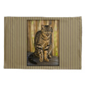 Tortoiseshel Cat Portrait, Closeup Animal Foto Kussensloop (Achterkant)