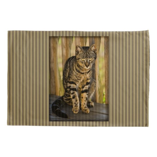 Tortoiseshel Cat Portrait, Closeup Animal Foto Kussensloop (Achterkant)