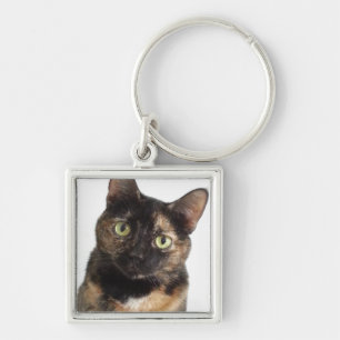 Tortoiseshel Cat Sleutelhanger