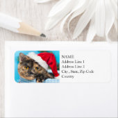 Tortoiseshel Cat Spint-fect Holiday Season Etiket (Insitu)