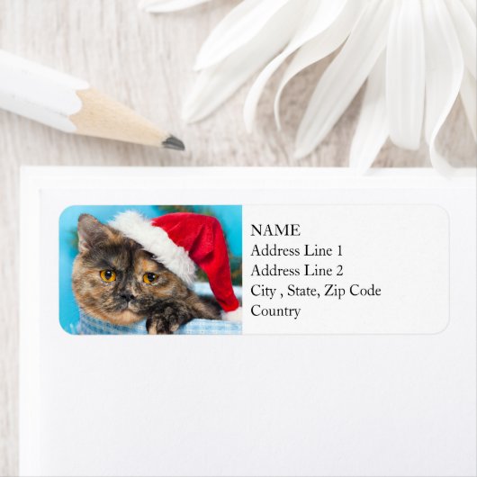 Tortoiseshel Cat Spint-fect Holiday Season Etiket (Insitu)