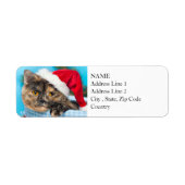 Tortoiseshel Cat Spint-fect Holiday Season Etiket (Voorkant)
