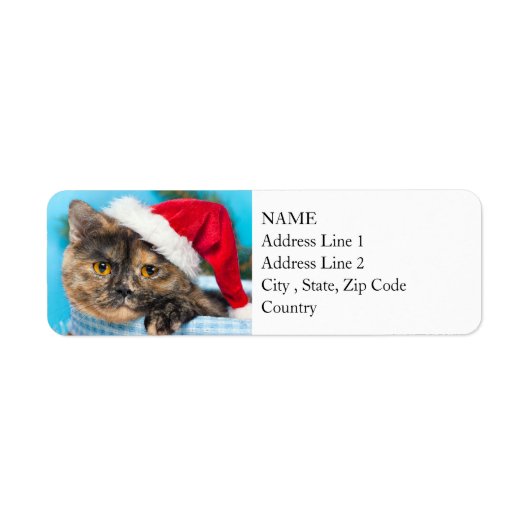 Tortoiseshel Cat Spint-fect Holiday Season Etiket (Voorkant)