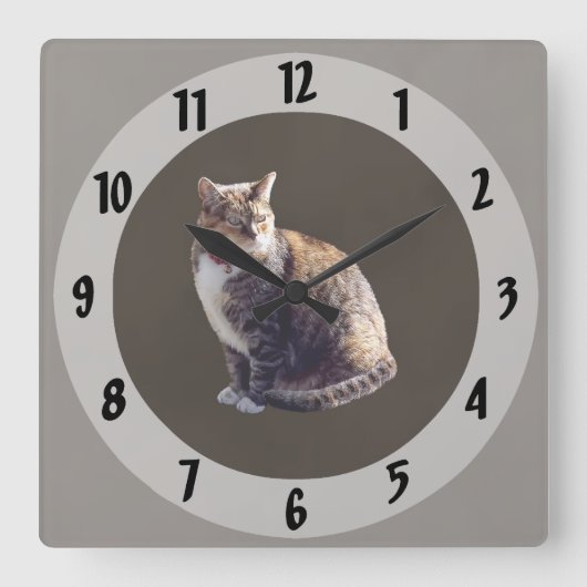 Tortoiseshel Cat Vierkante Klok (Voorkant)