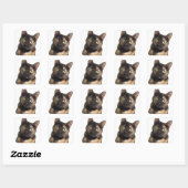 Tortoiseshel Cat Vierkante Sticker (Vel)