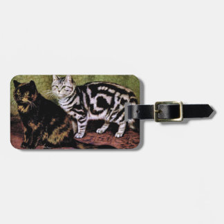 Tortoiseshel en Silver Tabby Cats Bagagelabel
