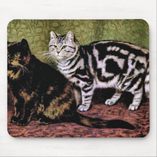 Tortoiseshel en Silver Tabby Cats Muismat
