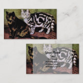Tortoiseshel en Silver Tabby Cats Visitekaartje (Voorkant / Achterkant)