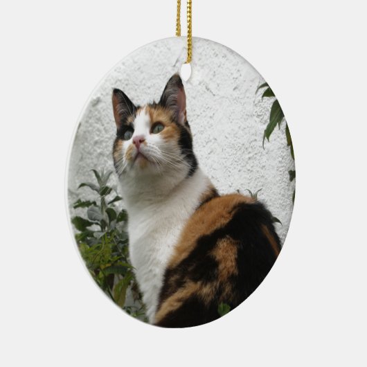 Tortoiseshel en witte kat keramisch ornament (Rechts)