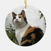 Tortoiseshel en witte kat keramisch ornament (Voorkant)