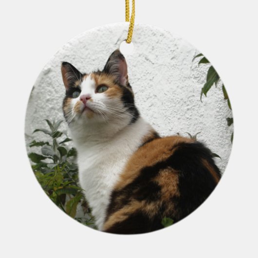 Tortoiseshel en witte kat keramisch ornament (Voorkant)