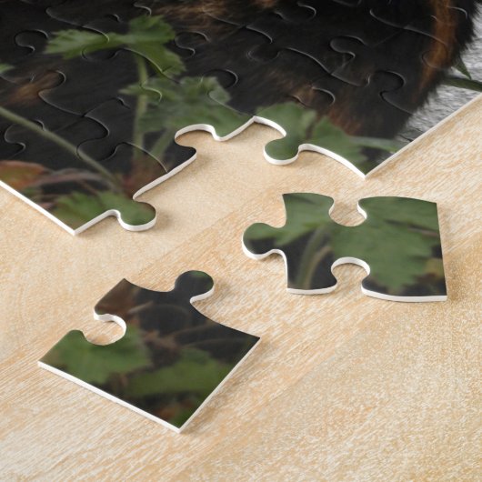 Tortoiseshel en witte kat legpuzzel (Zijkant)