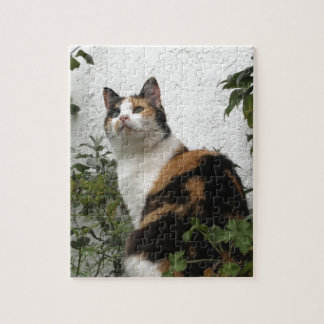 Tortoiseshel en witte kat legpuzzel