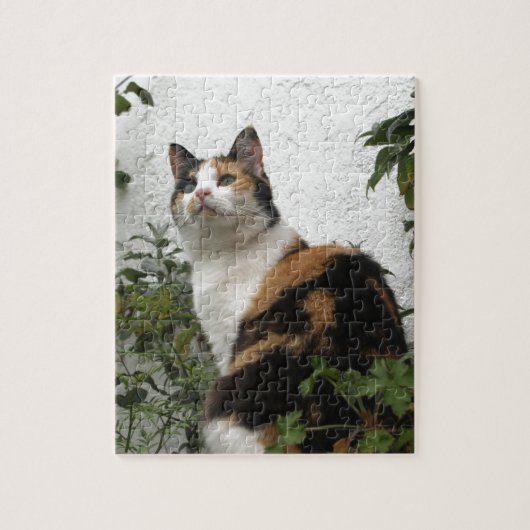 Tortoiseshel en witte kat legpuzzel (Verticaal)