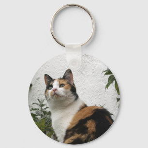 Tortoiseshel en witte kat sleutelhanger