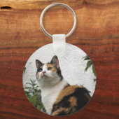 Tortoiseshel en witte kat sleutelhanger (Voorkant)