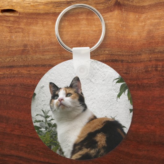 Tortoiseshel en witte kat sleutelhanger (Voorkant)