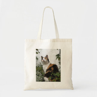 Tortoiseshel en witte kat tote bag