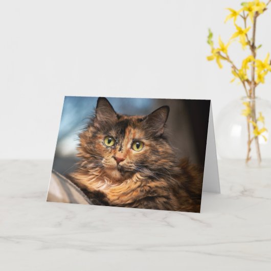 Tortoiseshel Fluffy Cat Kaart (Gele Bloem)