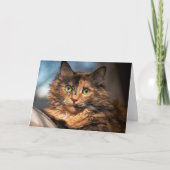 Tortoiseshel Fluffy Cat Kaart (Voorkant)