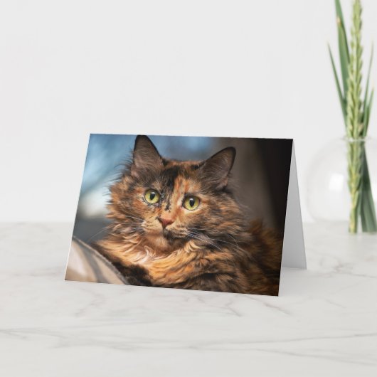 Tortoiseshel Fluffy Cat Kaart (Voorkant)