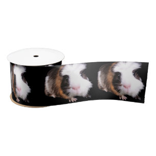 Tortoiseshel Guinee Pigs, Satin Ribbon Satijnen Lint