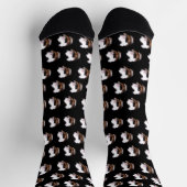 Tortoiseshel Guinee Pigs, Sokken (Top)