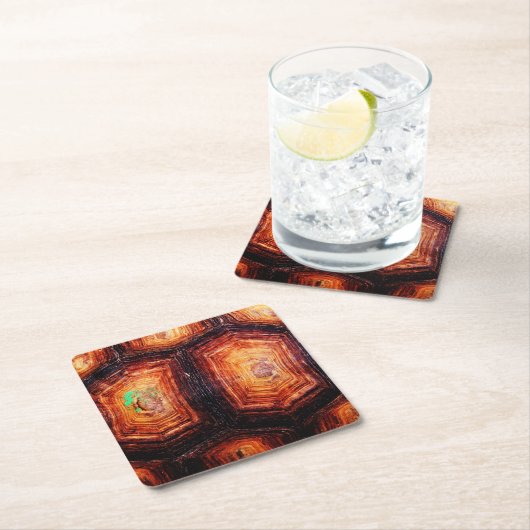 Tortoiseshel Kartonnen Onderzetters (Insitu)