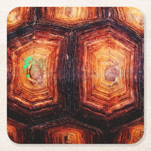 Tortoiseshel Kartonnen Onderzetters (Voorkant)