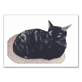 Tortoiseshel Kat-leeskaarten voor volwassenen Kaart