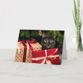 Tortoiseshel Kerstmis Feestdagen Kaart (Voorkant)