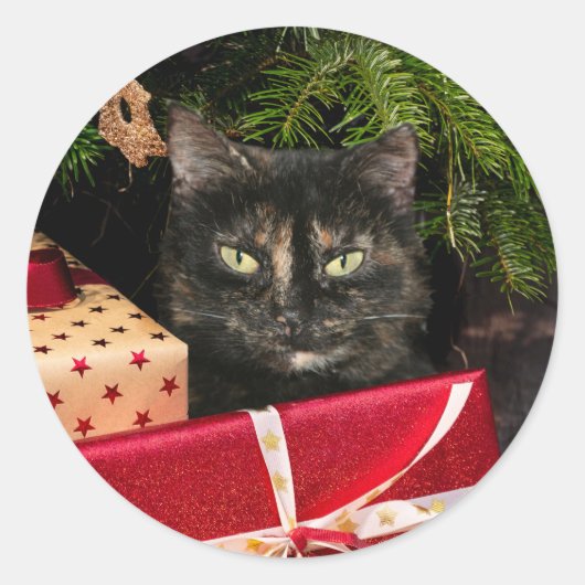 Tortoiseshel Kerstmis Ronde Sticker (Voorkant)