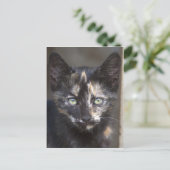 Tortoiseshel Kitten Briefkaart (Staand voorkant)