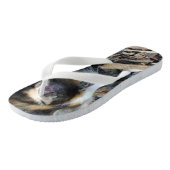 Tortoiseshel Kitten die bugs observeert, Teenslippers (Schuin)