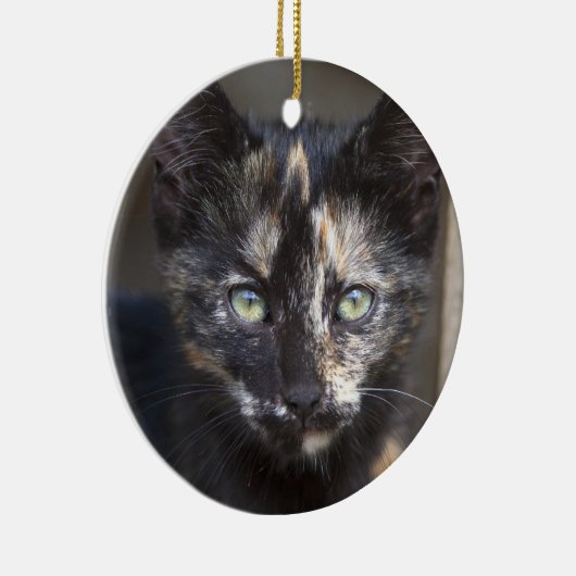 Tortoiseshel Kitten Keramisch Ornament (Rechts)