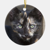 Tortoiseshel Kitten Keramisch Ornament (Voorkant)