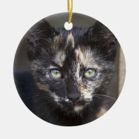 Tortoiseshel Kitten Keramisch Ornament (Voorkant)