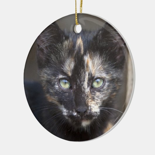 Tortoiseshel Kitten Keramisch Ornament (Links)