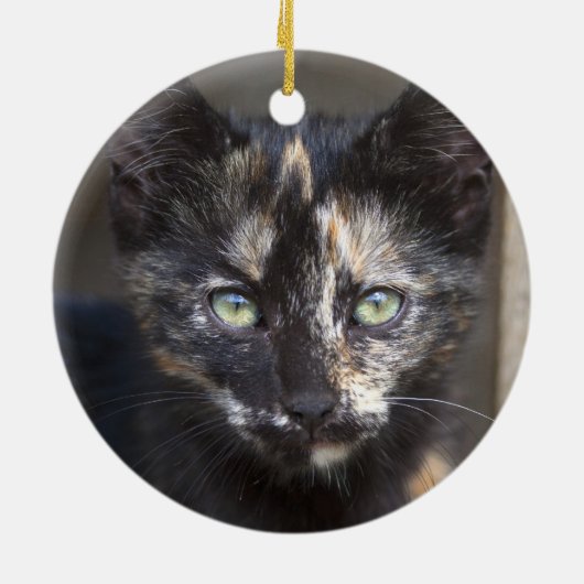 Tortoiseshel Kitten Keramisch Ornament (Achterkant)