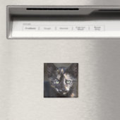 Tortoiseshel Kitten Magneet (Insitu (Vaatwasser))