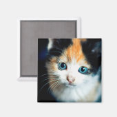 Tortoiseshel kitten magneet (Voorkant / Achterkant)