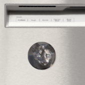 Tortoiseshel Kitten Magneet (Insitu (Vaatwasser))