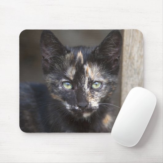 Tortoiseshel Kitten Muismat (Met muis)