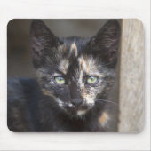 Tortoiseshel Kitten Muismat (Voorkant)