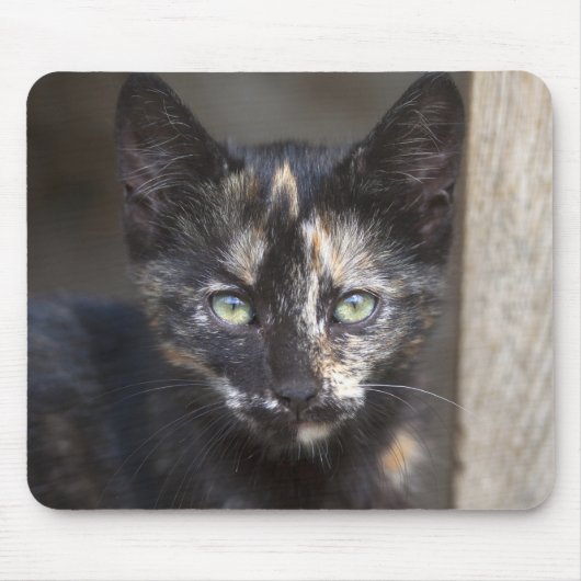 Tortoiseshel Kitten Muismat (Voorkant)