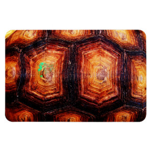 Tortoiseshel Magneet