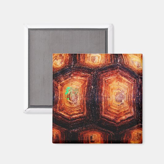 Tortoiseshel Magneet (Voorkant / Achterkant)