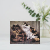 Tortoiseshel Perzische Katten Kunst Briefkaart (Staand voorkant)