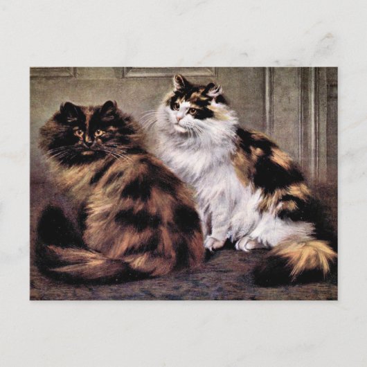Tortoiseshel Perzische Katten Kunst Briefkaart (Voorkant)